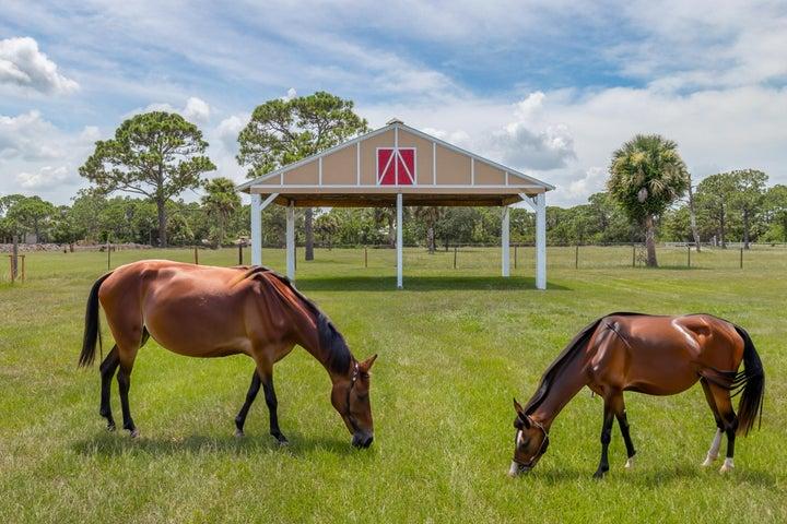 4715 Blossom Ridge Place, Grant, FL, 32949 photo 13