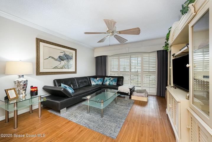 Living room area with plantation blinds