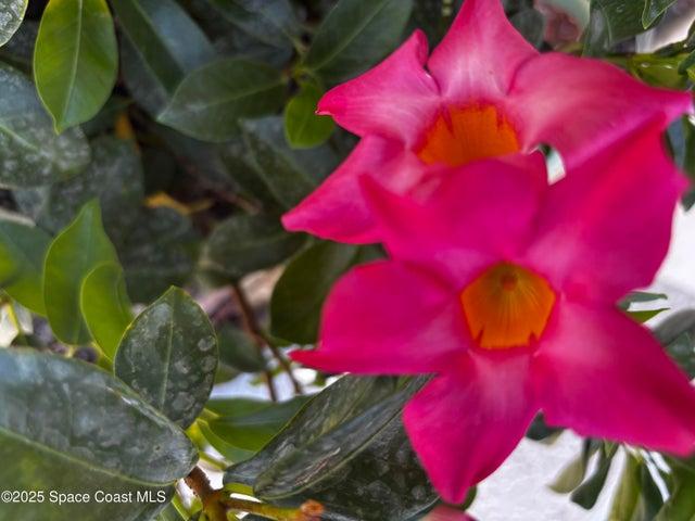 4800 Ocean Beach Boulevard 226, Cocoa Beach, FL, 32931 photo 17