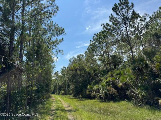 4300 Justa Road, Mims, FL, 32754 photo 28