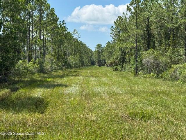 4300 Justa Road, Mims, FL, 32754 photo 5