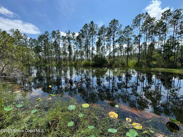 4300 Justa Road, Mims, FL, 32754 photo 39