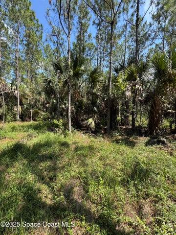 4300 Justa Road, Mims, FL, 32754 photo 37