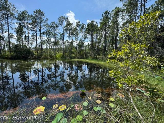 4300 Justa Road, Mims, FL, 32754 photo 40