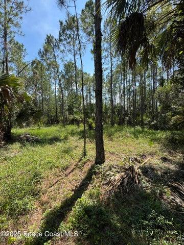 4300 Justa Road, Mims, FL, 32754 photo 38