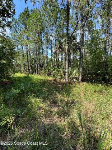 4300 Justa Road, Mims, FL, 32754 photo 41
