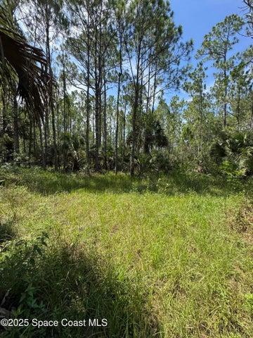 4300 Justa Road, Mims, FL, 32754 photo 42