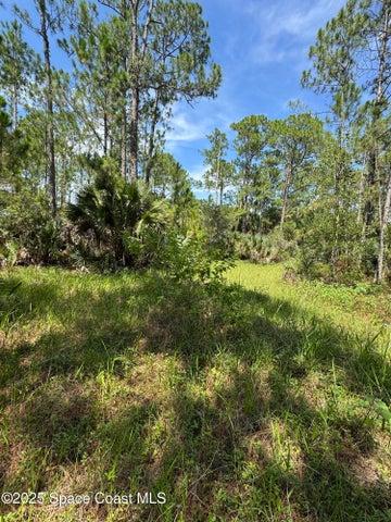4300 Justa Road, Mims, FL, 32754 photo 44
