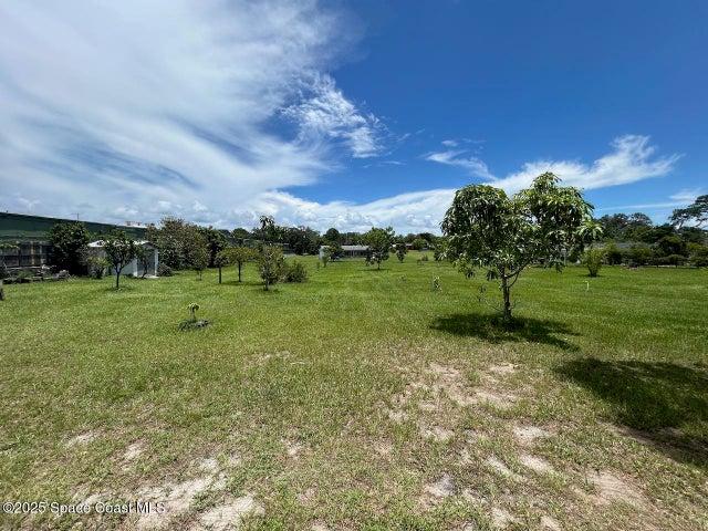 101 S Singleton Avenue, Titusville, FL, 32796 photo 52