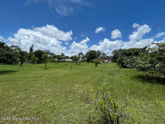 101 S Singleton Avenue, Titusville, FL, 32796 photo 53