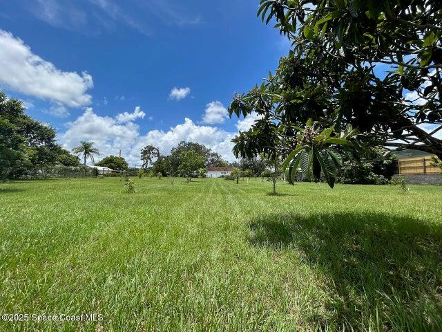 101 S Singleton Avenue, Titusville, FL, 32796 photo 54