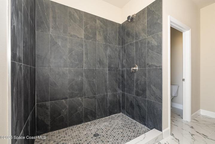 509 Andrew Street SE, Palm Bay, FL, 32909 photo 20