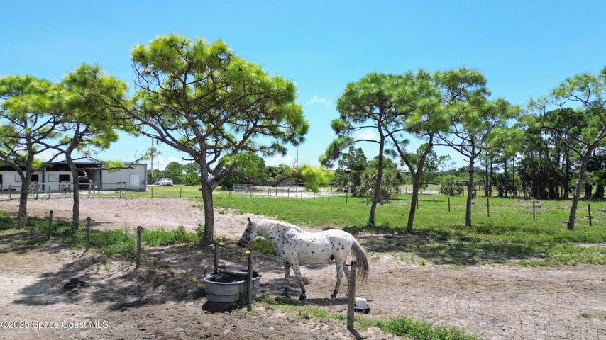 4850 Old Dixie Highway, Grant-Valkaria, FL, 32949 photo 41