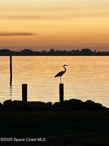 254 Seaview Street B, Melbourne Beach, FL, 32951 photo 57