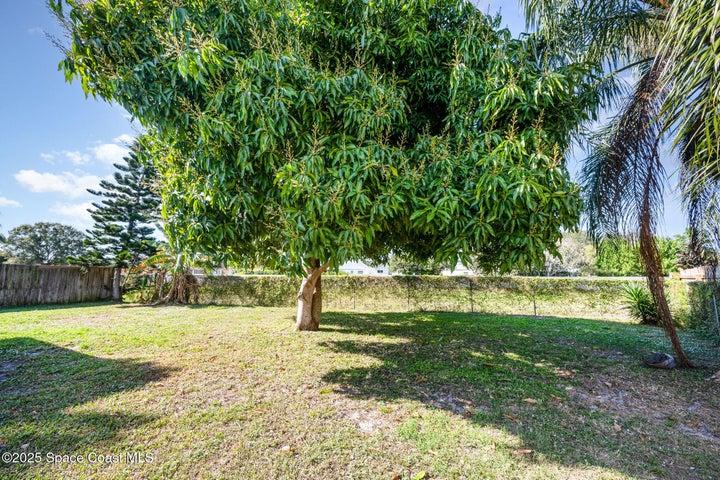 4006 Dewberry Circle, Melbourne, FL, 32901 photo 24