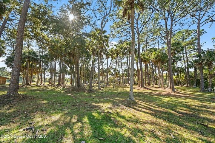 2956 Long Lake Drive, Titusville, FL, 32780 photo 36