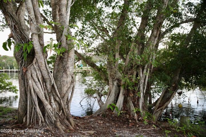 124 Aucila Road, Cocoa Beach, FL, 32931 photo 55