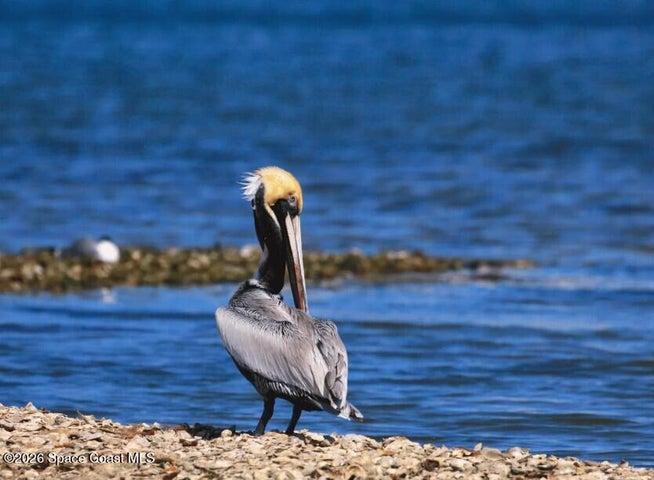 Pelican Island National Wildlife Refuge