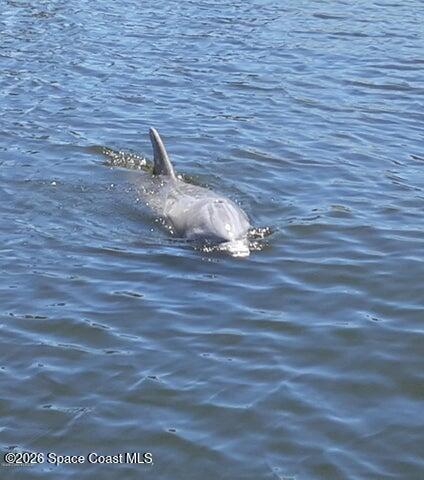 200 S Banana River Boulevard 2310, Cocoa Beach, FL, 32931 photo 45