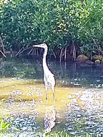 200 S Banana River Boulevard 2310, Cocoa Beach, FL, 32931 photo 55