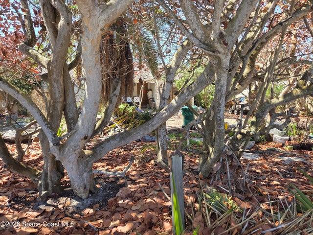 Spacious lot .26 acre.