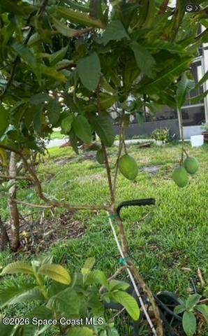 3403 Cloudberry Place, Melbourne, FL, 32940 photo 31