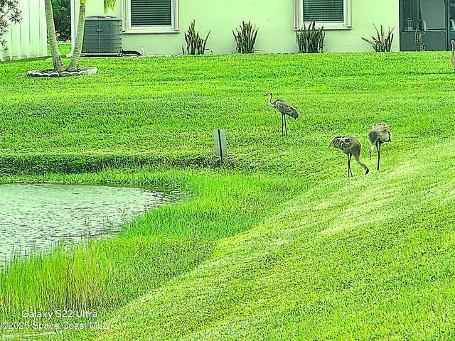 731 Corbin Circle SW, Palm Bay, FL, 32909 photo 4