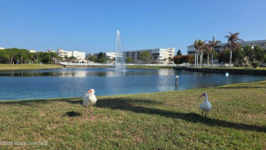 604 Shorewood Drive B503, Cape Canaveral, FL, 32920 photo 40