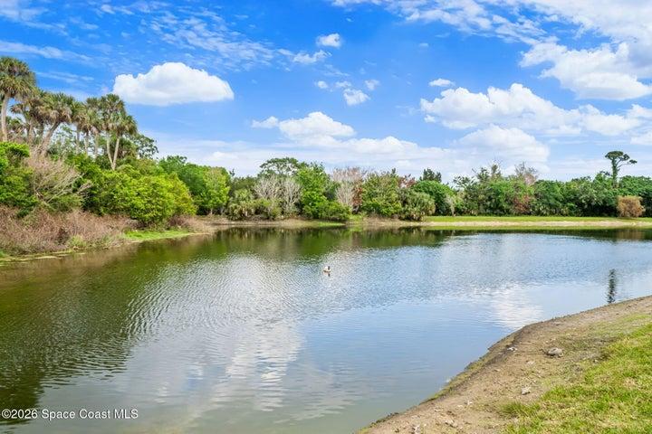 Lake at the end of the yard