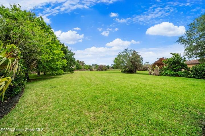 View of Backyard from House