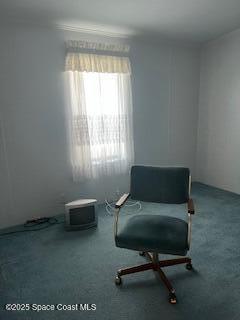 5361 Bison Street P19, Micco, FL, 32976 photo 23