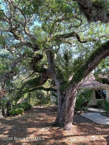 275 Ibis Drive, Melbourne Beach, FL, 32951 photo 4