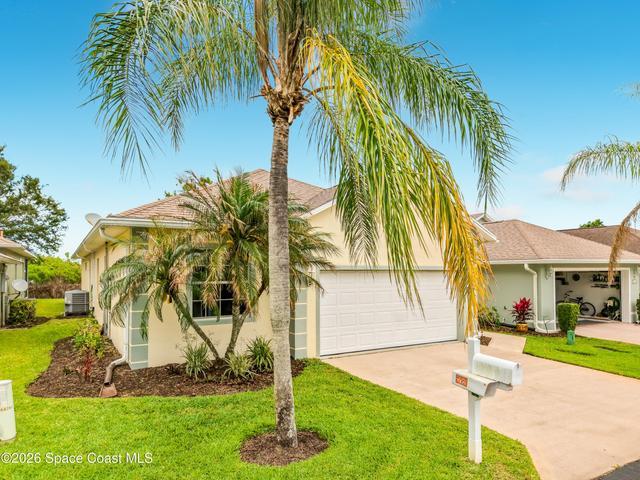 Tropical Landscaping