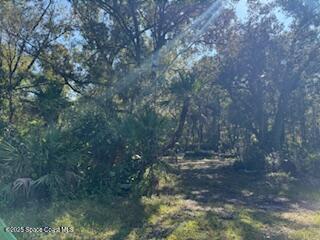 905 Baron Road, Orlando, FL, 32828 photo 5