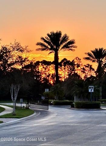 Nature's art gallery, different every day!