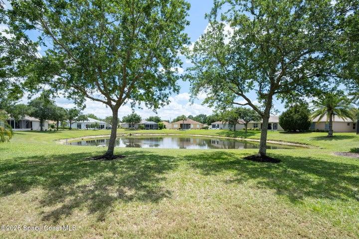 pond view from backyard