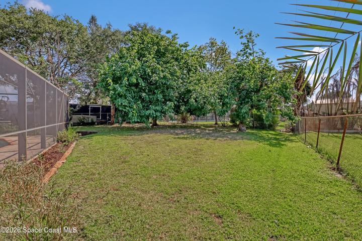 Amazing yard with mature fruit trees.