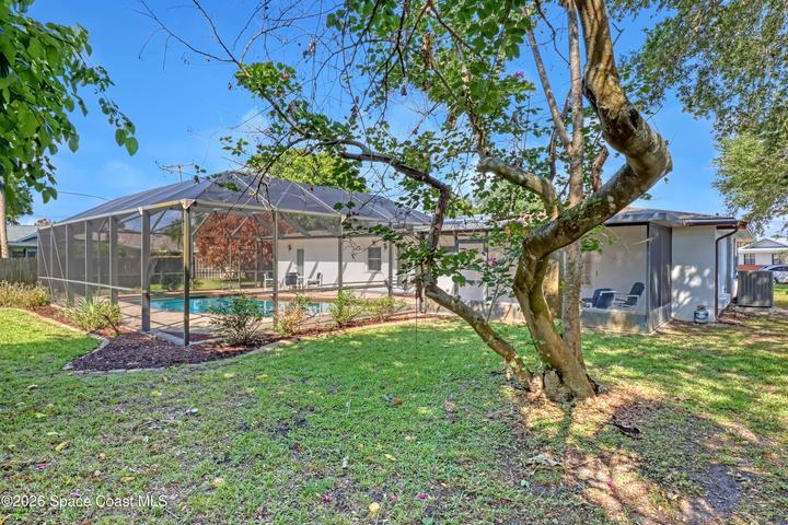 Room for dogs in almost completely fenced yard.
