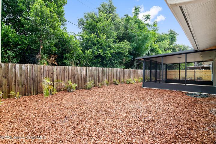 Back Yard