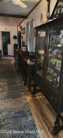 196 Canal Avenue, Oak Hill, FL, 32759 photo 6