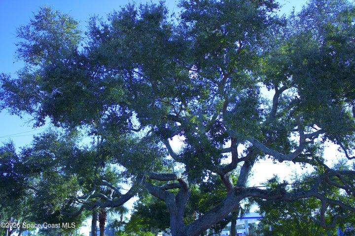 178 Long Point Road 1, Cape Canaveral, FL, 32920 photo 24