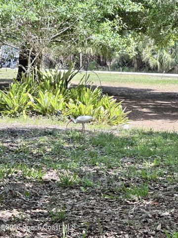 1563 Hamilton Avenue SW, Palm Bay, FL, 32908 photo 21