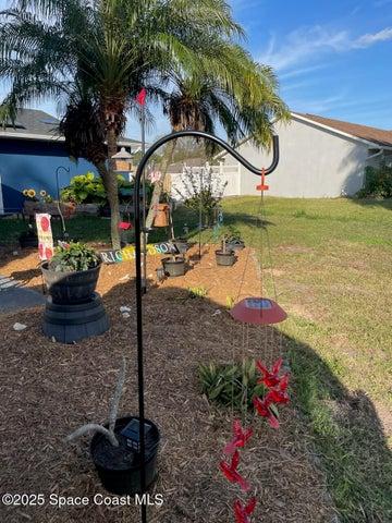 Front Yard