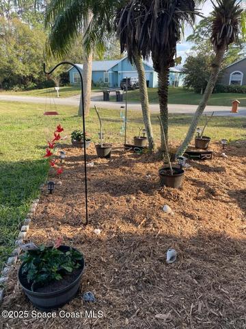 Front Yard