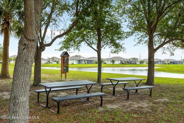 Neighborhood Picnic Area and free library