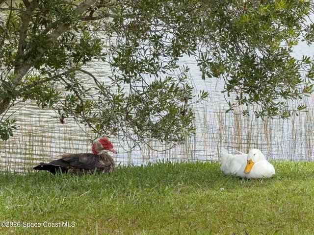 4500 Hunters Run Circle, Grant, FL, 32949 photo 6