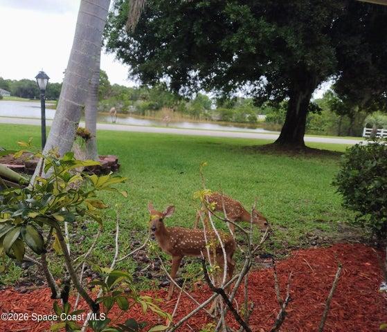 4500 Hunters Run Circle, Grant, FL, 32949 photo 9