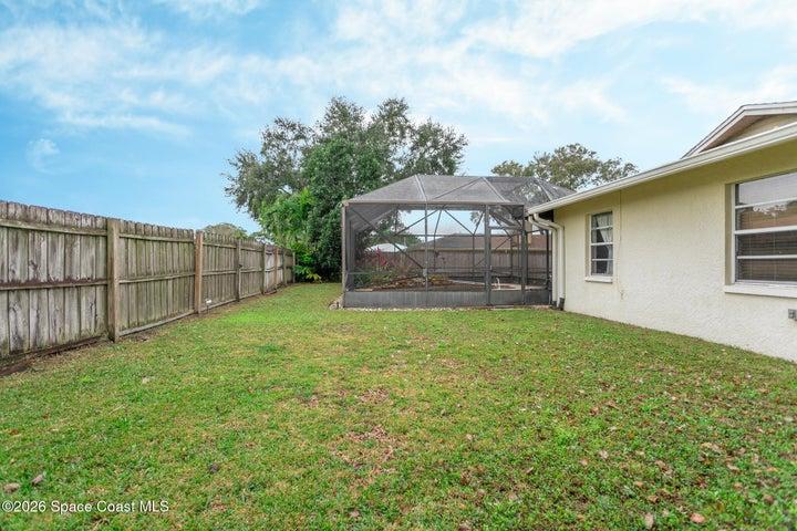 Back yard
