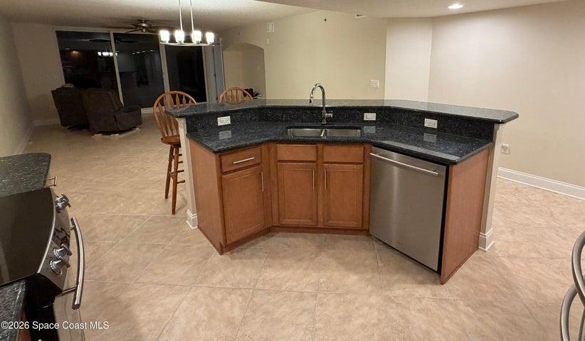 Island Sink and Dishwasher