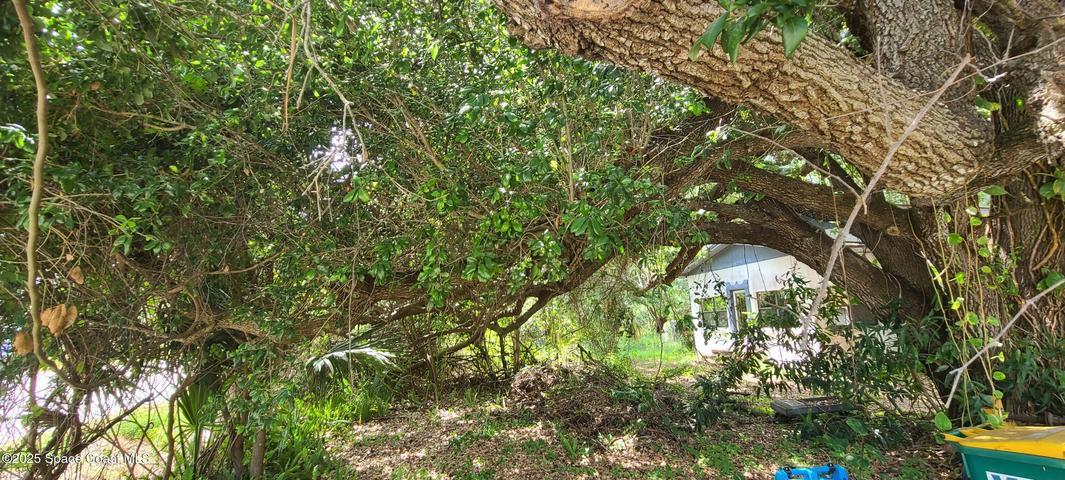 920 Malabar Road, Malabar, FL, 32950 photo 2